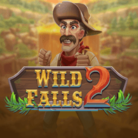 Wild Falls 2 icon